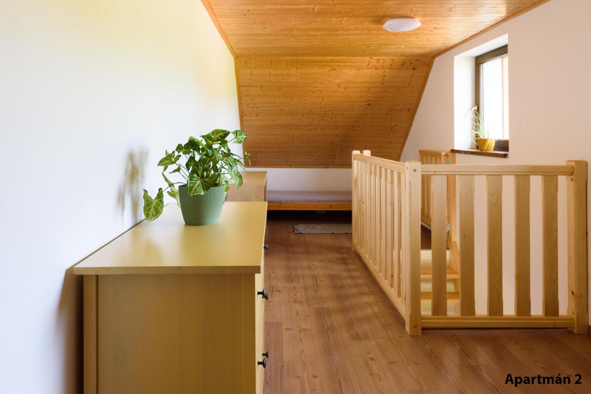 Apartmany U Mateje โดลนี โมราวา ภายนอก รูปภาพ